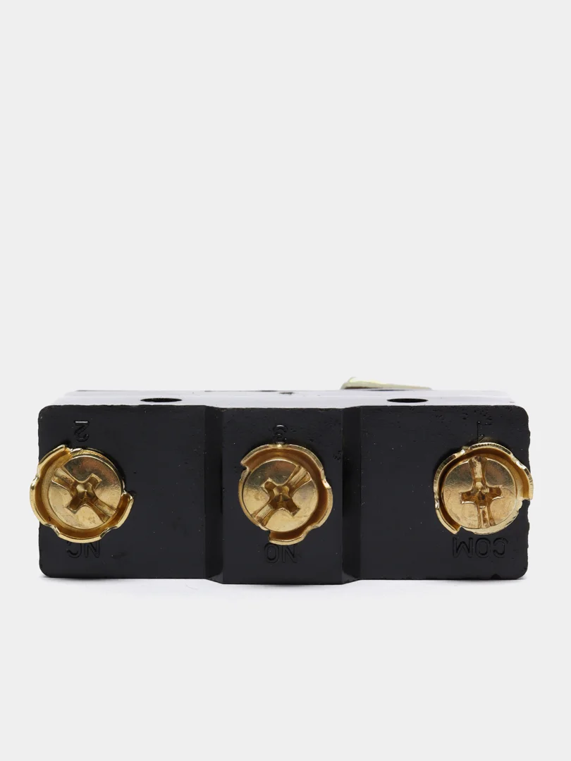 Выключатель концевой LXW5-11M (Z-15GQ-B) 15A/250V ( МП 45-21-10111-00УХЛ3)