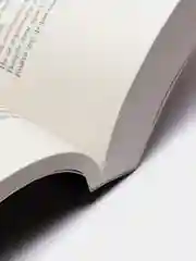 Книжный вор, Маркус Зусак