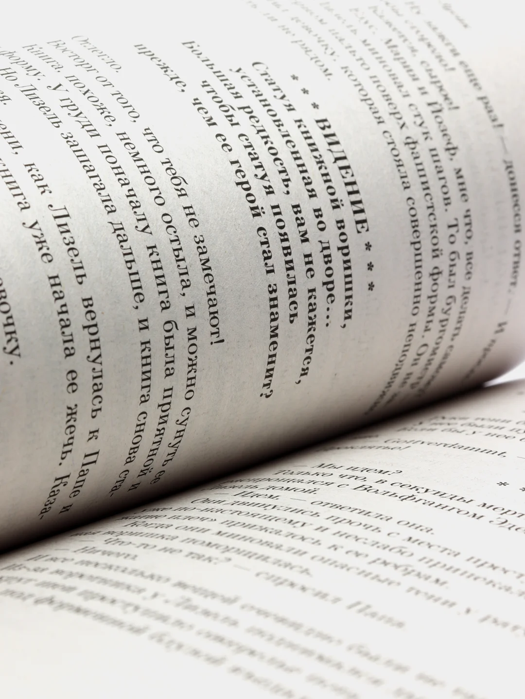 Книжный вор, Маркус Зусак