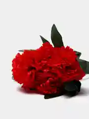 Красный искусственные цветы, хризантемы