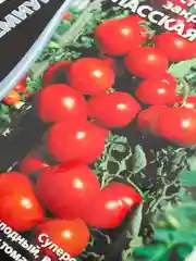 Семена Томат Спасская башня