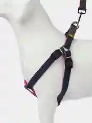 Розовый шлейка с поводком для собак и кошек