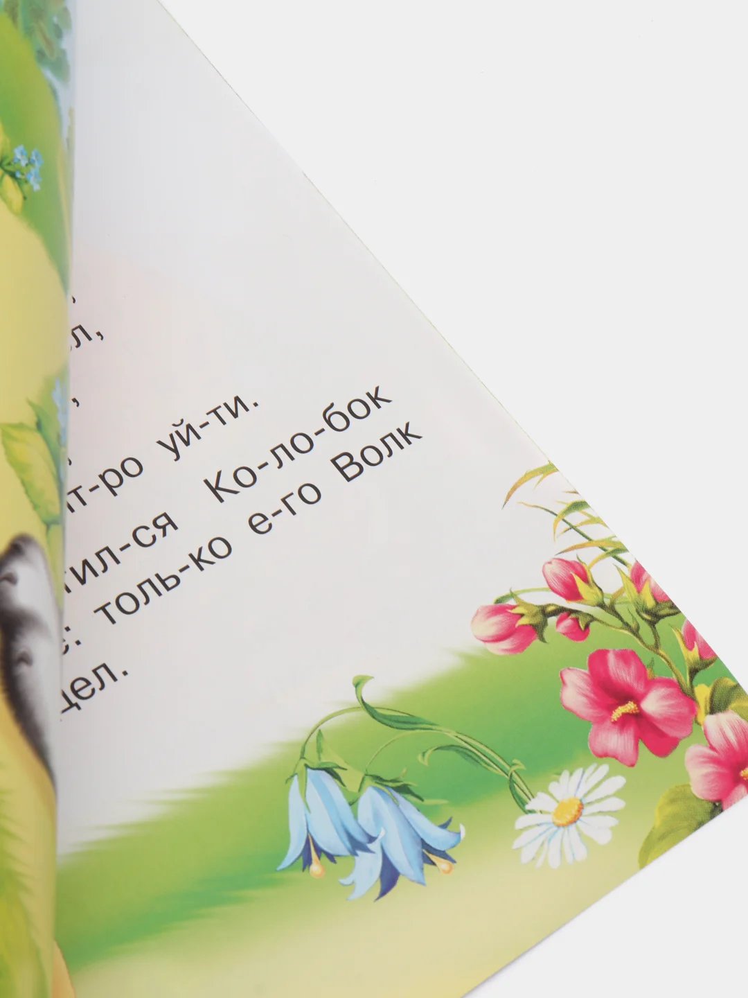Коралловый книга детская "Читаем по слогам"