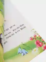 Коралловый книга детская "Читаем по слогам"