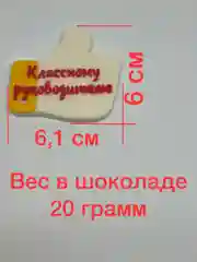 Молд силиконовый "Классному руководителю", для шоколада, мыла, карамели