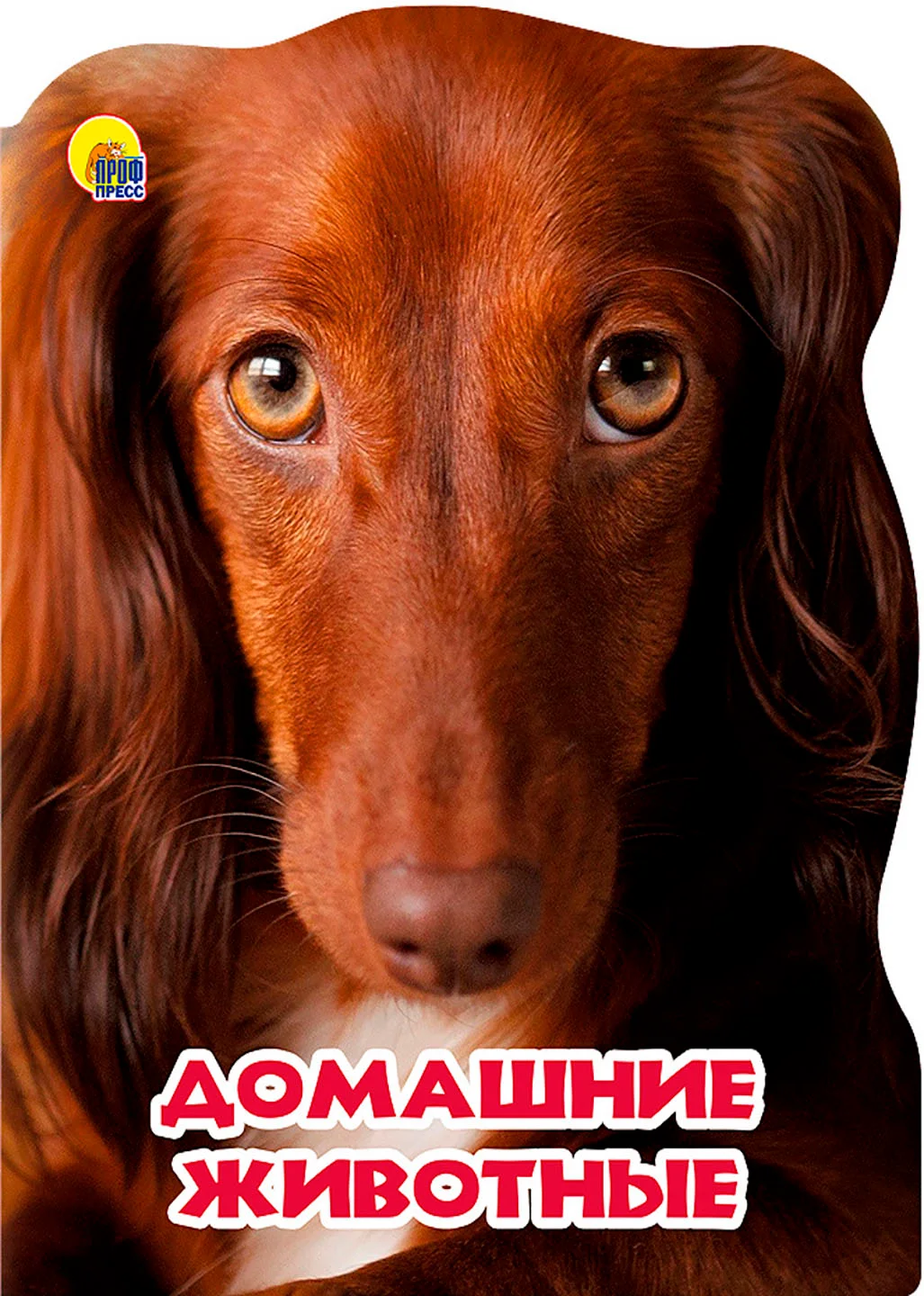 Желтый книга/ Для детей/ Литература/Обучение/На ночь/Перед сном/Для малышей/Разивашки/Подарок
