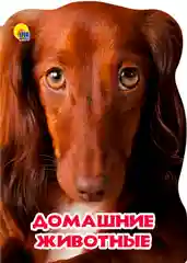 Желтый книга/ Для детей/ Литература/Обучение/На ночь/Перед сном/Для малышей/Разивашки/Подарок