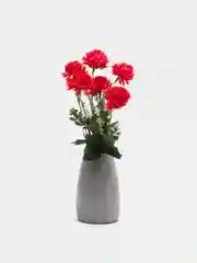 Фуксия хризантемы