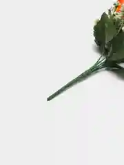 Оранжевый хризантемы