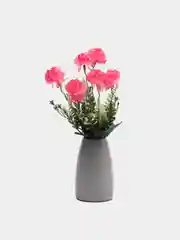 Розовый хризантемы