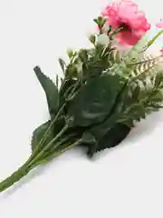 Розовый хризантемы