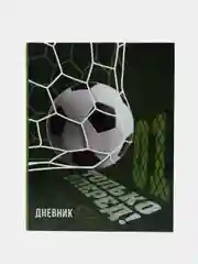 Зеленый школьный дневник для 1-11 класса, 40 страниц, А5