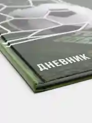 Зеленый школьный дневник для 1-11 класса, 40 страниц, А5