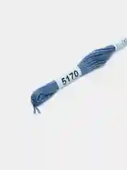 Кораллово-розовый мулине, нитки для вышивания Gamma, 100% хлопок, номера цветов 5170 - 5220