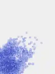 Бисер чешский Preciosa 10/0, круглый, 10 г, цвета 10000-40000