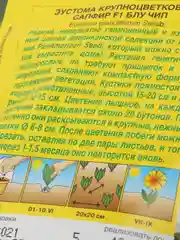 Семена цветы "Эустома Сапфир блу чип"