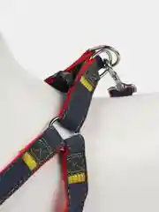 Красный шлейка с поводком для собак и кошек