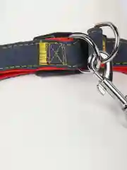 Красный шлейка с поводком для собак и кошек