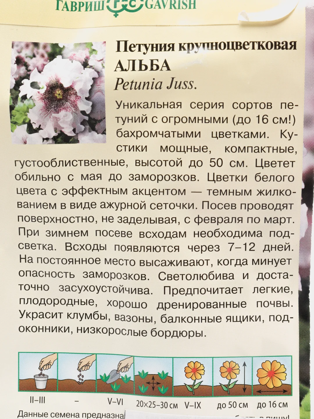 Петуния Альба (семена,цветы)