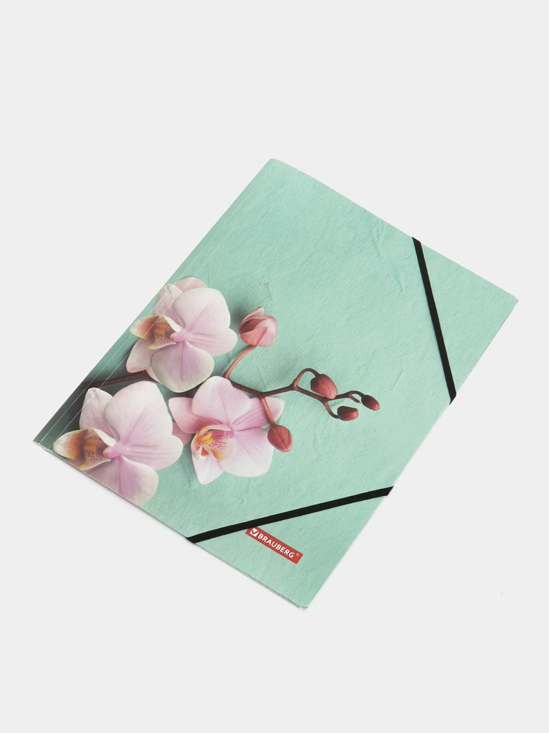 Папка на резинках BRAUBERG "FLOWER", А4, цветная печать