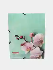 Папка на резинках BRAUBERG "FLOWER", А4, цветная печать