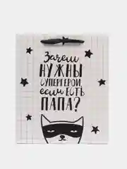 Белый пакет ламинированный горизонтальный семейный, ML 27 х 23 х 11,5 см
