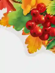 Багровый открытка для украшения на скотче