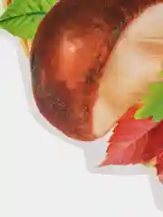 Бежевый открытка для украшения на скотче