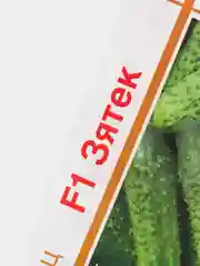 Огурец ЗятекF1 (семена)