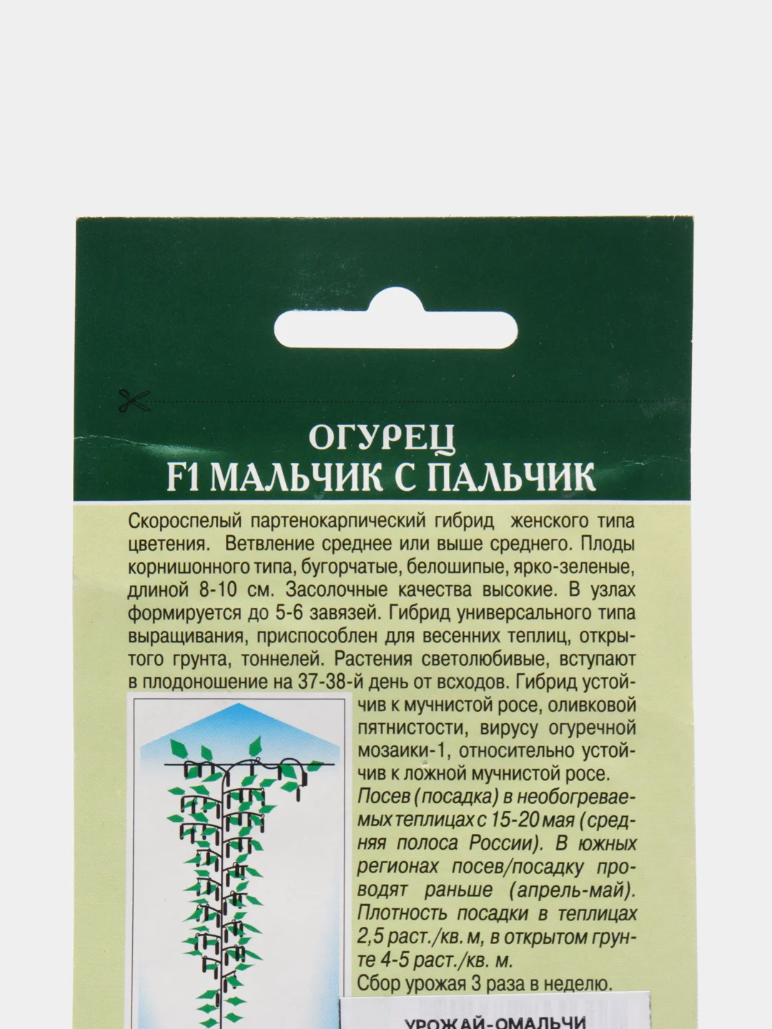 Огурец F1 Мальчик с пальчик (семена)