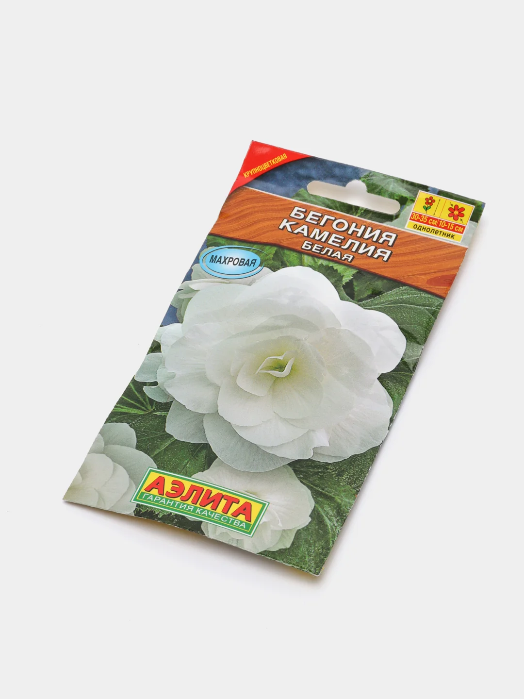 Бегония Камелия белая (семена,цветы)