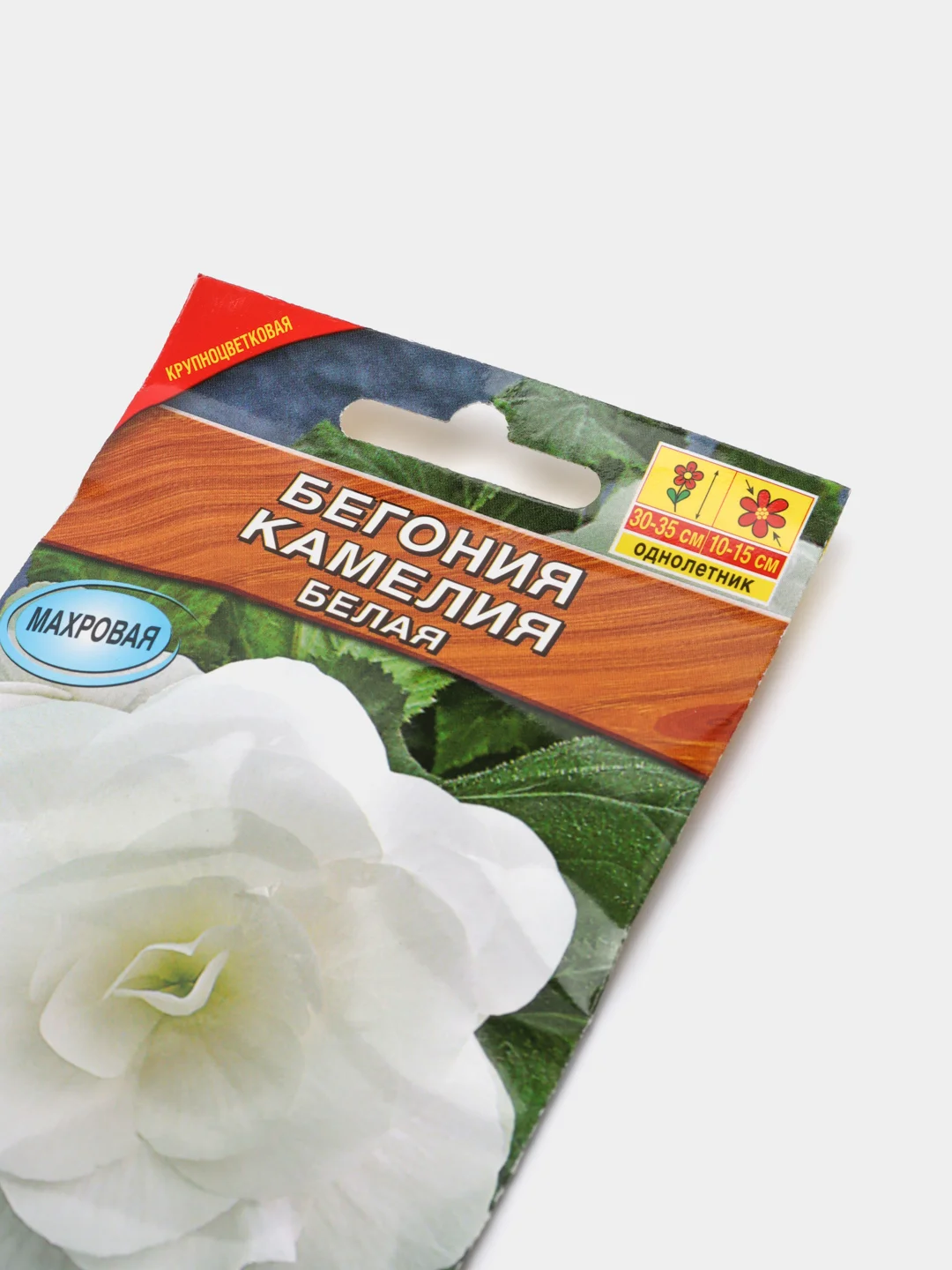 Бегония Камелия белая (семена,цветы)