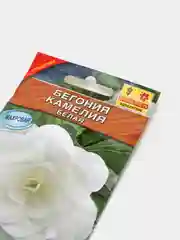 Бегония Камелия белая (семена,цветы)