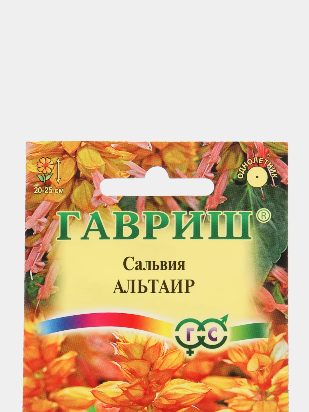 Сальвия Альтаир, семена, цветы