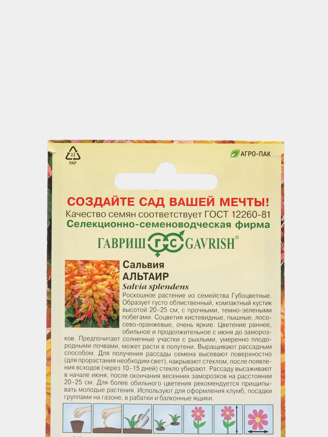 Сальвия Альтаир, семена, цветы