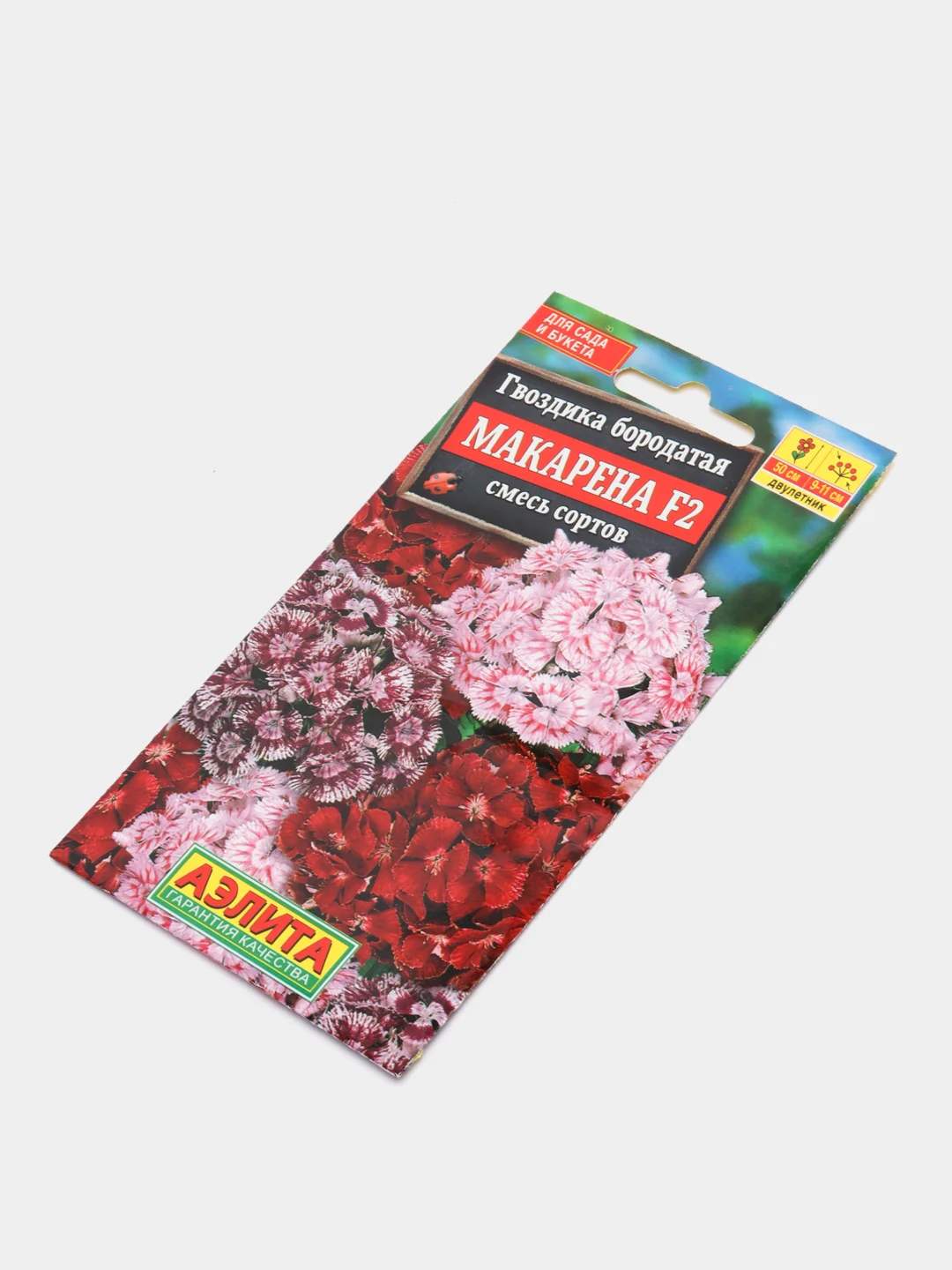 Гвоздика "Макарена F2", семена, цветы