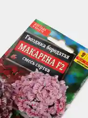 Гвоздика "Макарена F2", семена, цветы