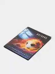 Рыжий школьный дневник для 1-4 класса, 46 вариантов