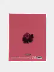 Кораллово-розовый школьный дневник для 1-11 класса, 40 страниц, А5