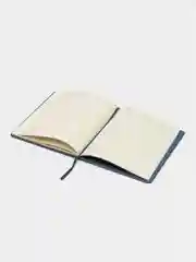 Дневник All about me, 1-11 класс