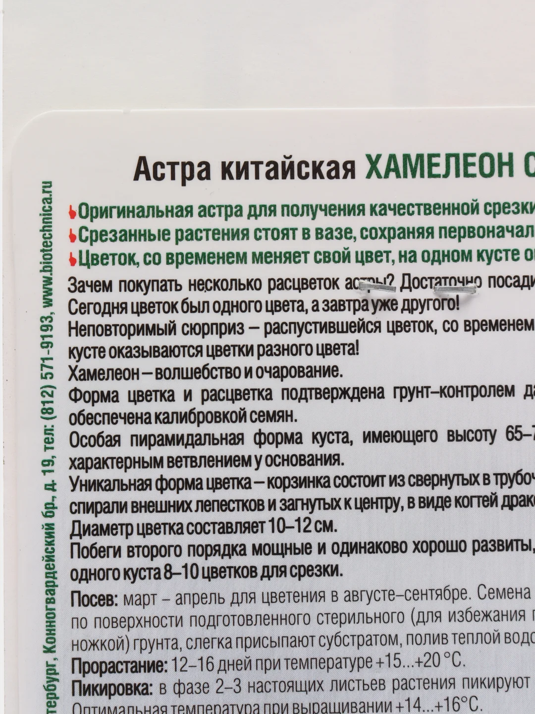 Астра Хамелеон SELECT "Пинк", семена
