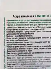 Астра Хамелеон SELECT "Пинк", семена