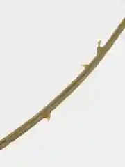 Розовый интерьерные искуственные цветы Розы, растения для декора, декор для дома, зелень, букет