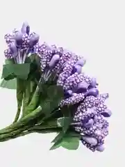 Лавандовый тычинки для рукоделия ,ягоды в пучке