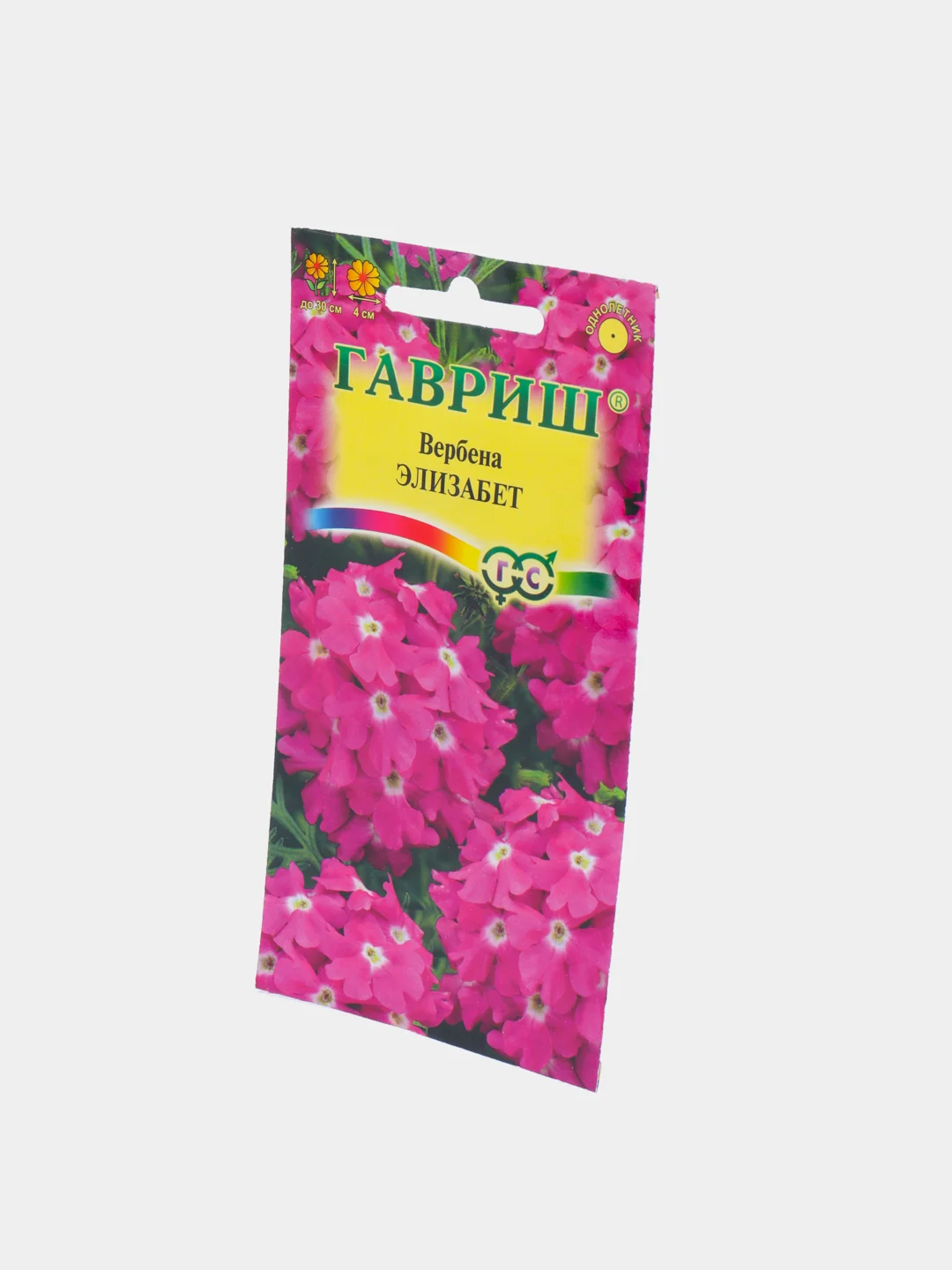 Вербена Элизабет, семена, цветы