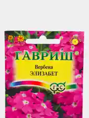 Вербена Элизабет, семена, цветы