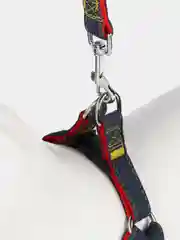 Красный шлейка с поводком для собак и кошек