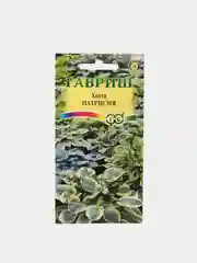 Семена Хоста "Патрисия", Гавриш