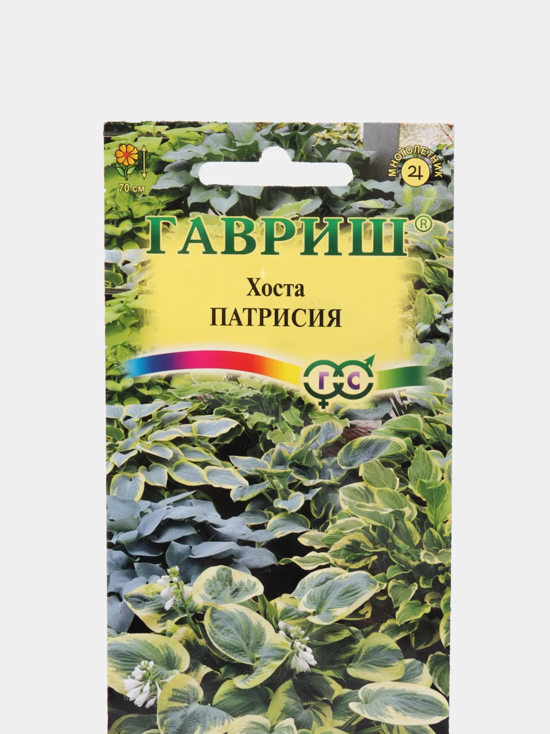 Семена Хоста "Патрисия", Гавриш