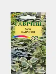 Семена Хоста "Патрисия", Гавриш